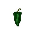 Poblano pepper Capsicum annuum is a mild chili pepper